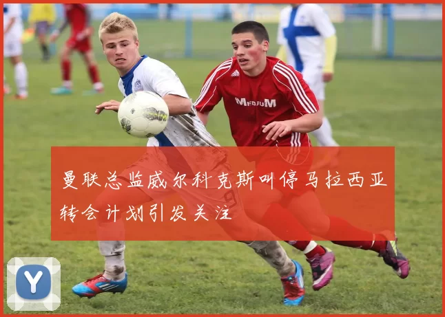 曼联总监威尔科克斯叫停马拉西亚转会计划引发关注